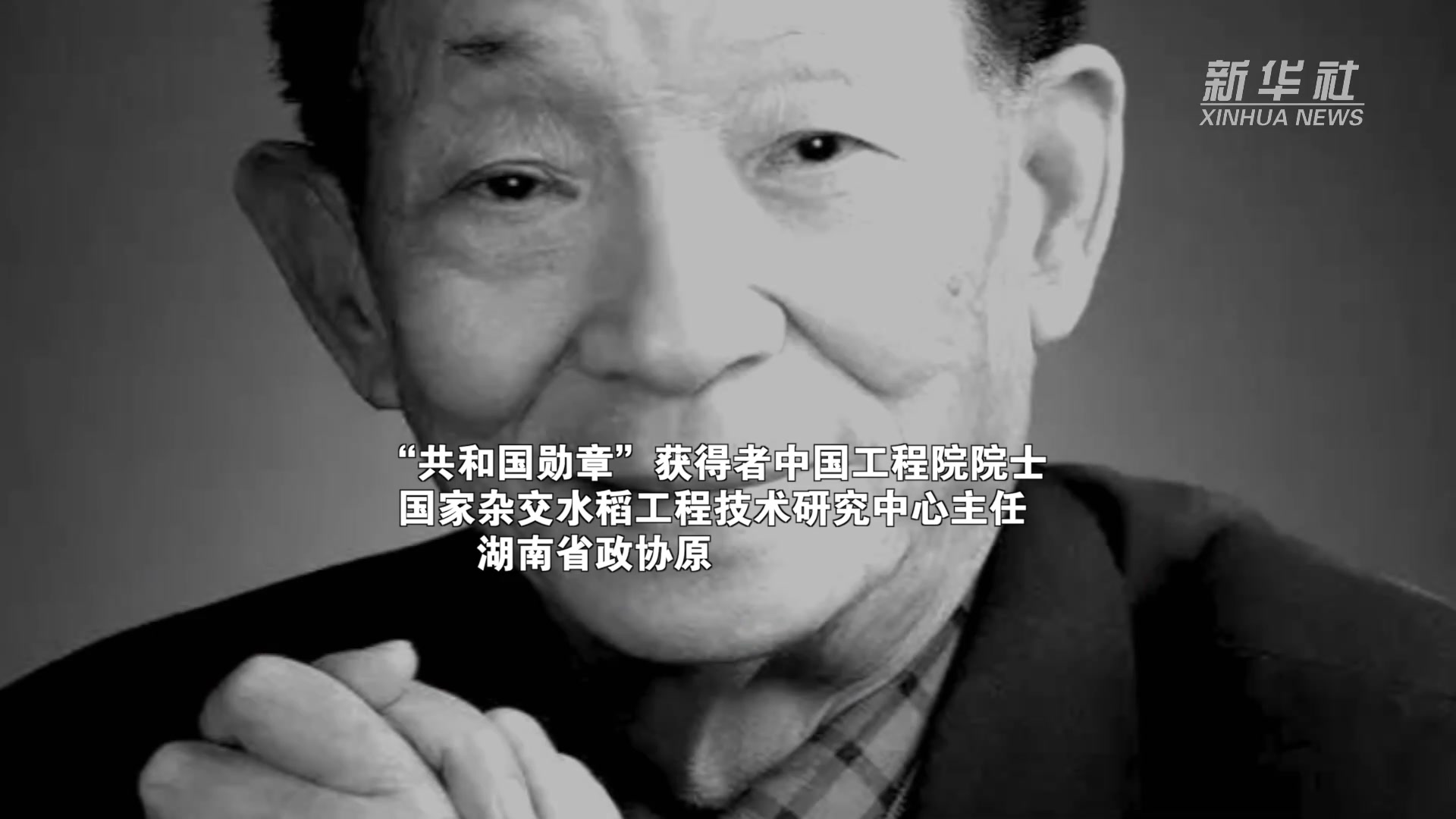 沉重悼念 “水稻之父”袁隆平 因多器官功能衰竭逝世 享年91岁