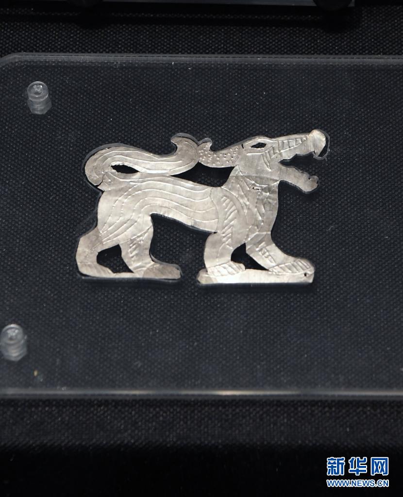 出土于马家塬西戎墓葬的狼形银箔车舆饰（5月18日摄）