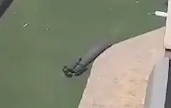 以色列民众拍惊险一幕：炮弹弹跳多次落入自家后院 网友直呼太吓人