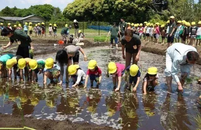 CPE中國(guó)幼教展 | 【國(guó)際名園】小飯碗大講究 快來(lái)看看日本幼兒園的“食育”之道