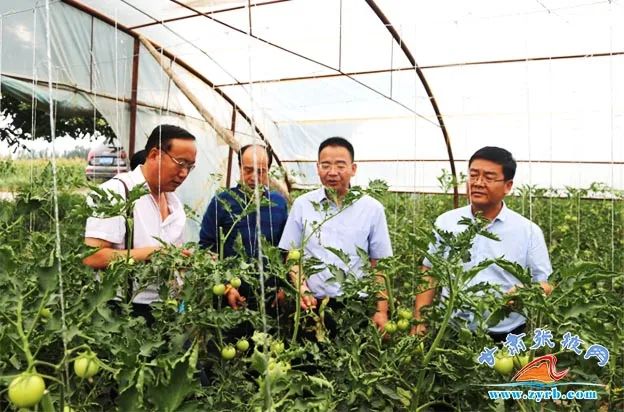 ▲专家深入一线传经送宝