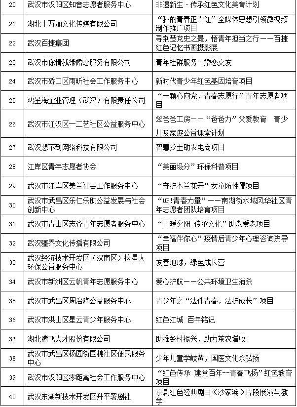 2021年武汉市“出彩青春”公益创投大赛项目初评结果公示