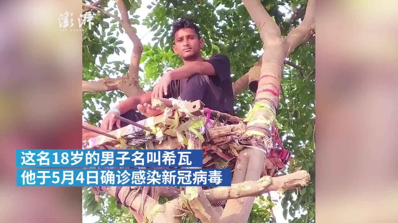 印度一男子新冠阳性在树上隔离11天：家人用水桶提供食物
