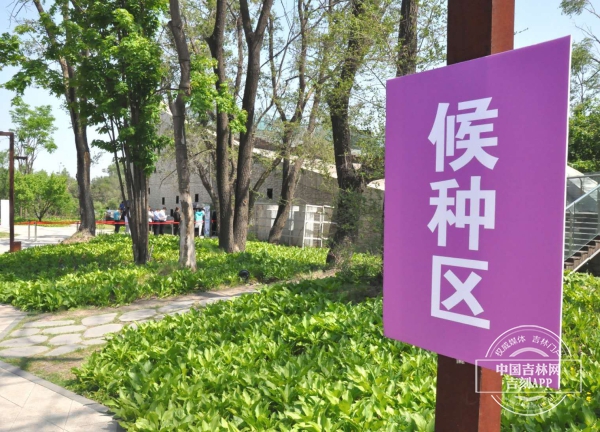 19日12时许,中国吉林网在长春水文化生态园游客接待中心接种点看到