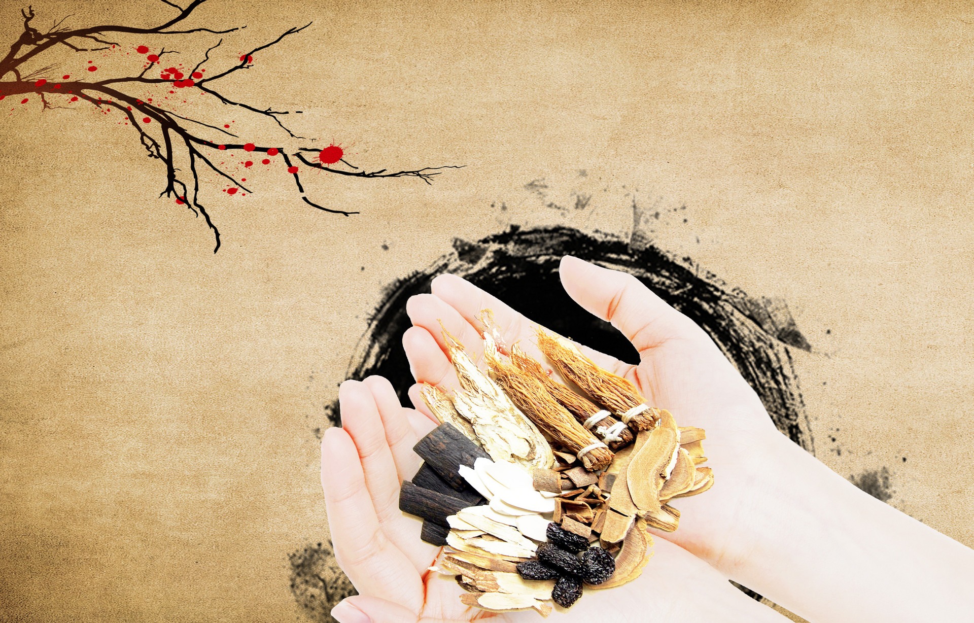 丰富中小学中医药文化教育 青岛拟推中医药特色课程