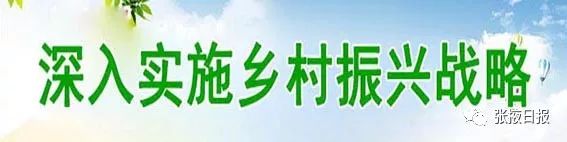 连续两年“考”全省第一！张掖打造乡村振兴样板