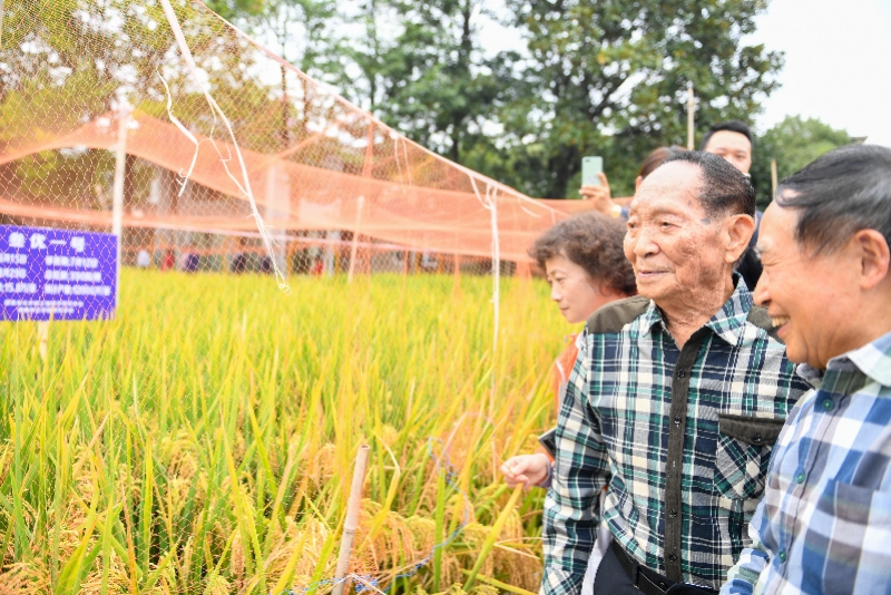 水稻之父袁隆平錯過當飛行員和運動員母親勸他學農很辛苦