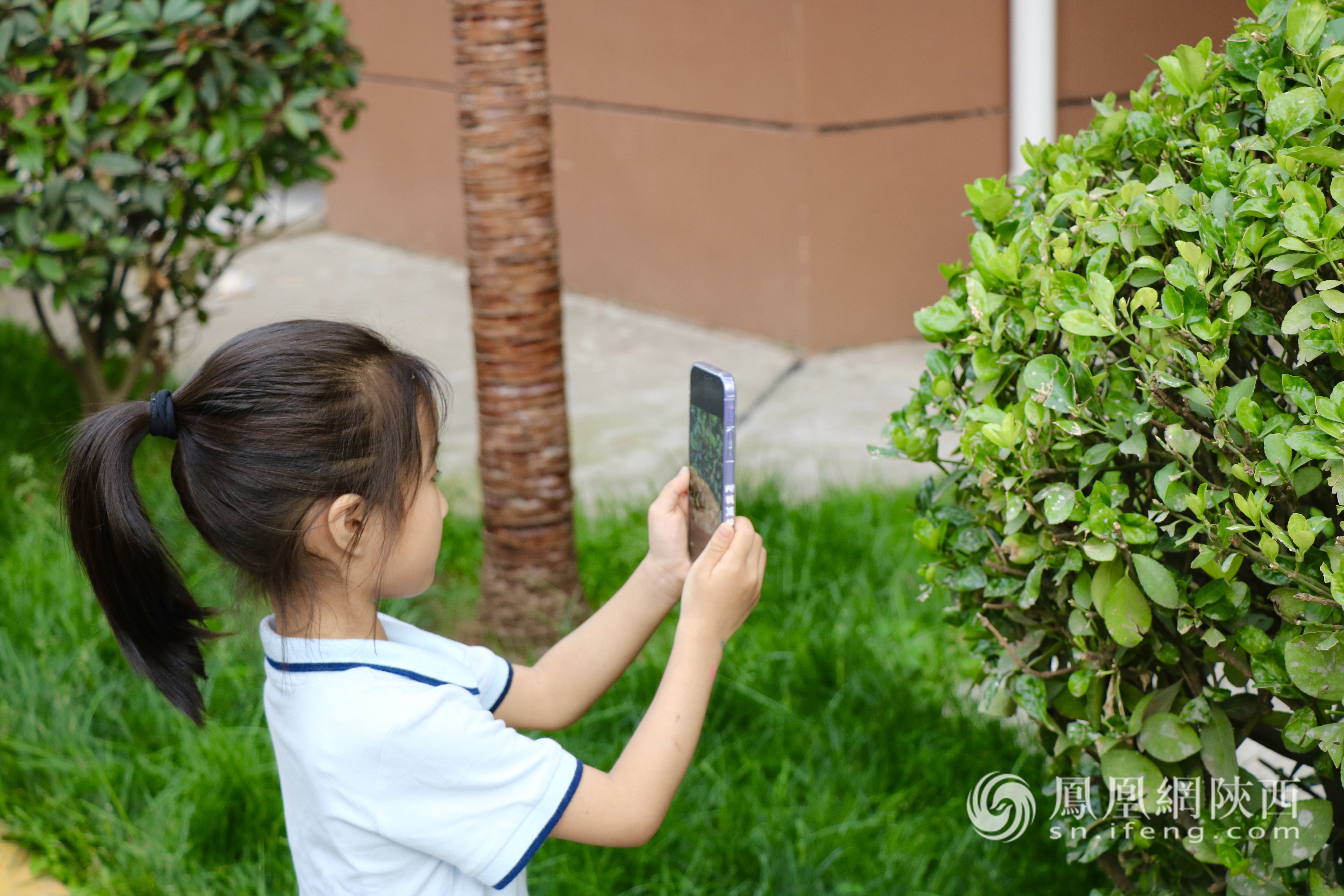 小朋友正在参加“植物大作战”游戏