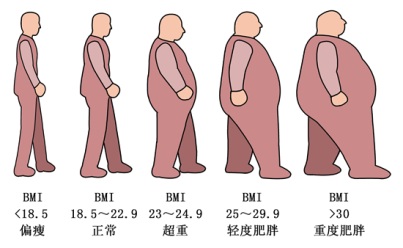 肥胖体型形意图图片