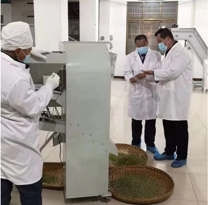 税务干部深入茶叶生产车间了解情况