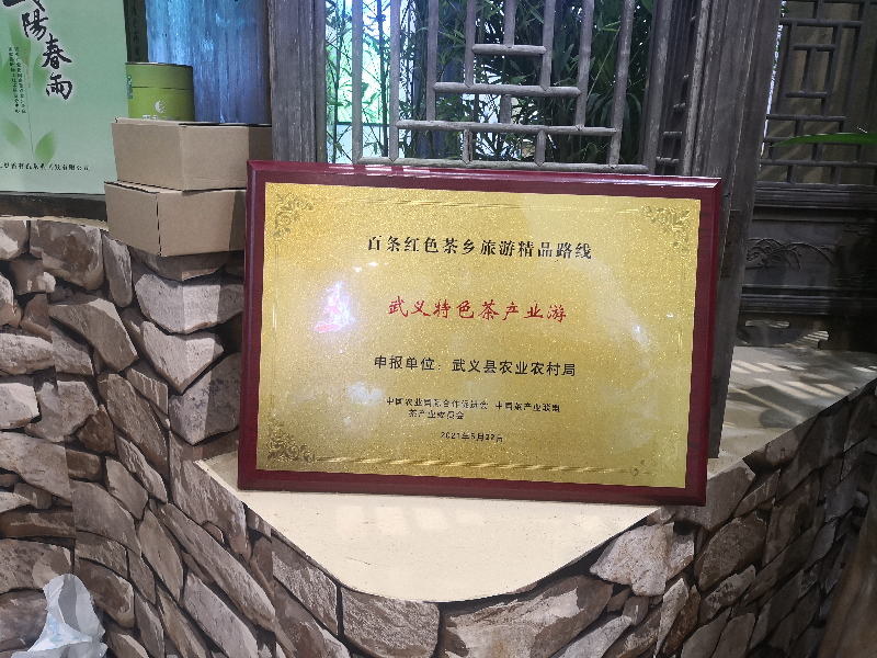 武义特色茶产业游入选百条红色茶乡旅游精品路线