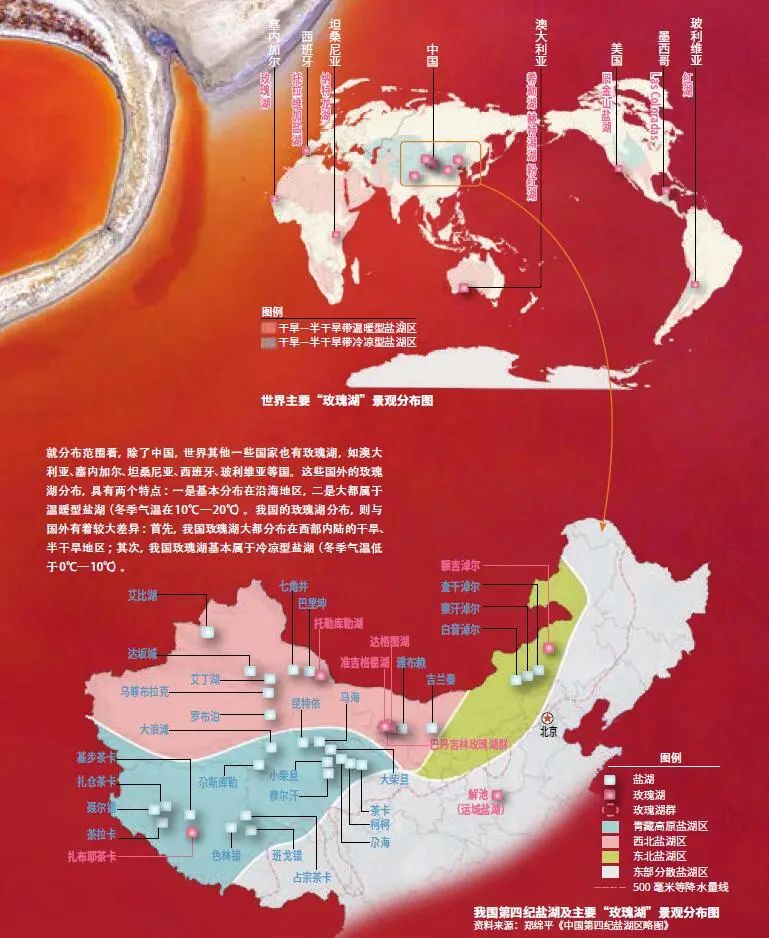 镶嵌在大地上的“粉色宝石” 你知道中国有哪些玫瑰湖吗？