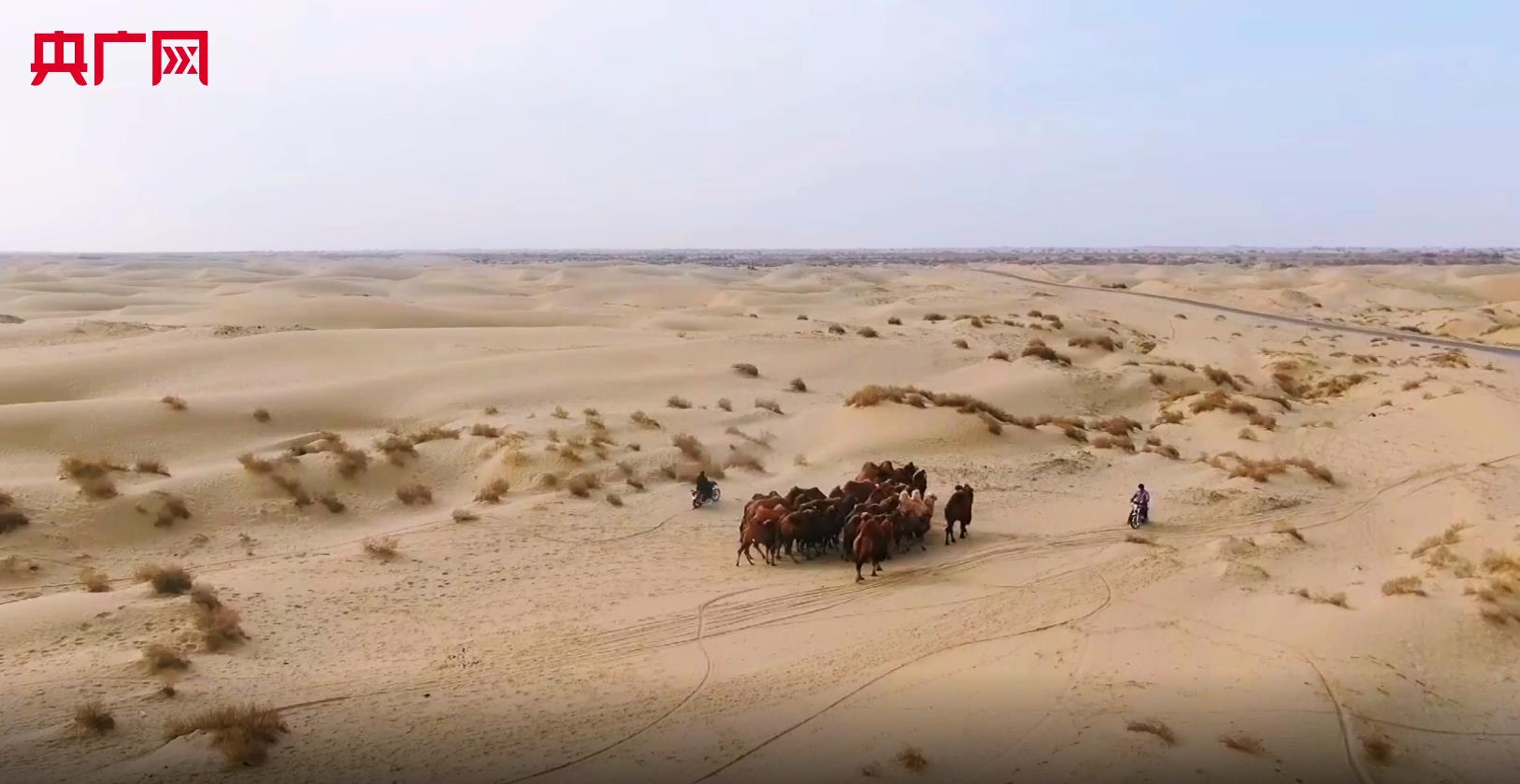 新疆壮美神秘的沙漠公路，宛如巨龙横跨塔克拉玛干，沿途美景如画_和田