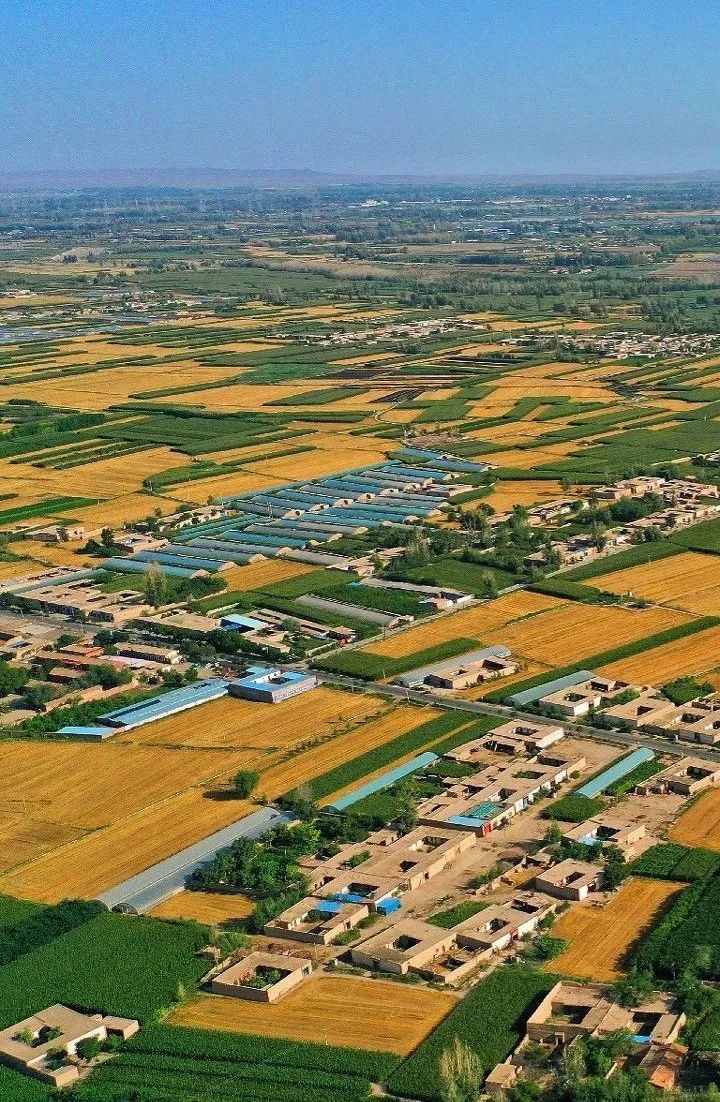 ▲ 武威秋收美景，确定不赋诗一首？摄影/张得喜，图/图虫&middot;创意