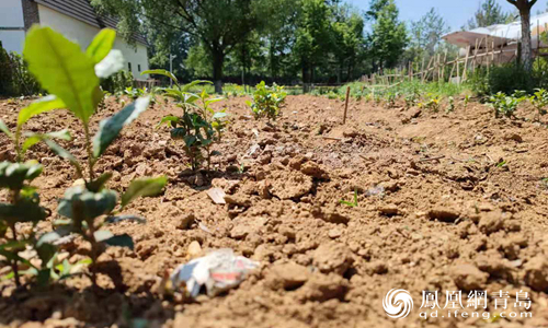 获奖数量多 就业质量高 揭秘青岛职业技术学院“令人心动的专业”