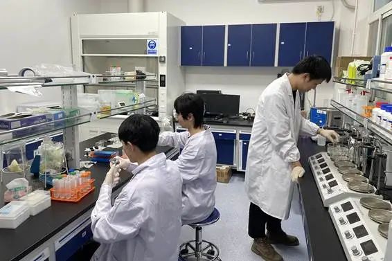 突破!西工大首获“挑战杯”省赛冠军