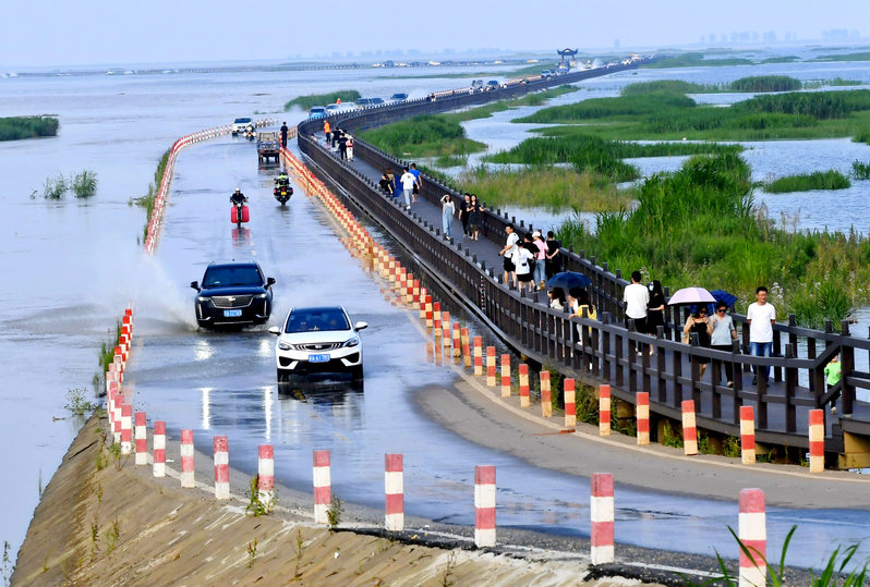 吴城最美水上公路图片