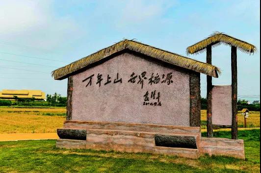 在上山考古遗址公园拍摄的袁隆平院士题词"万年上山 世界稻源(5
