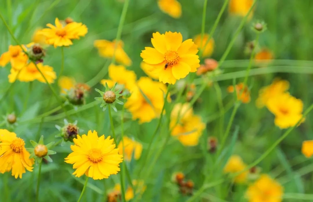 点击查看高清原图