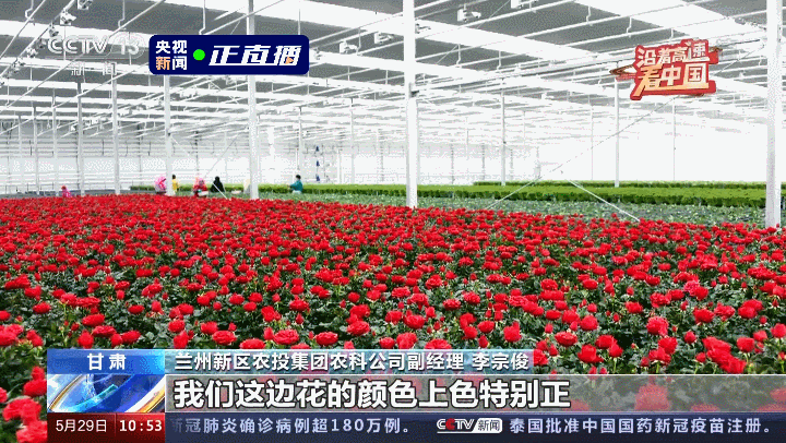沿着高速看中国，这一站：甘肃！