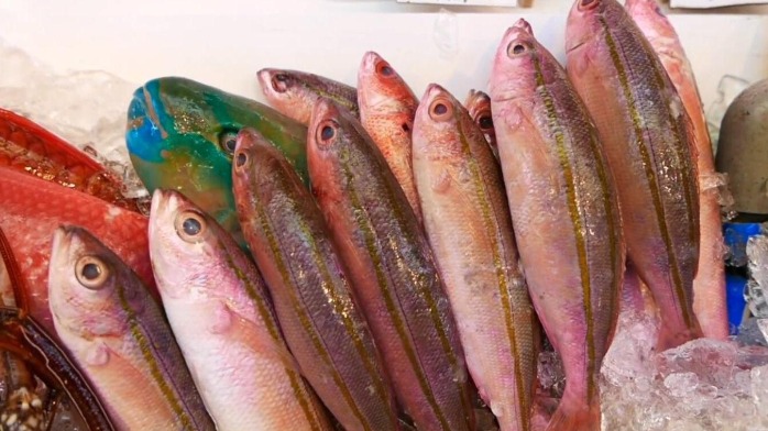 日本宫城县知事震后七年将近一千条鱼核检测含量超标