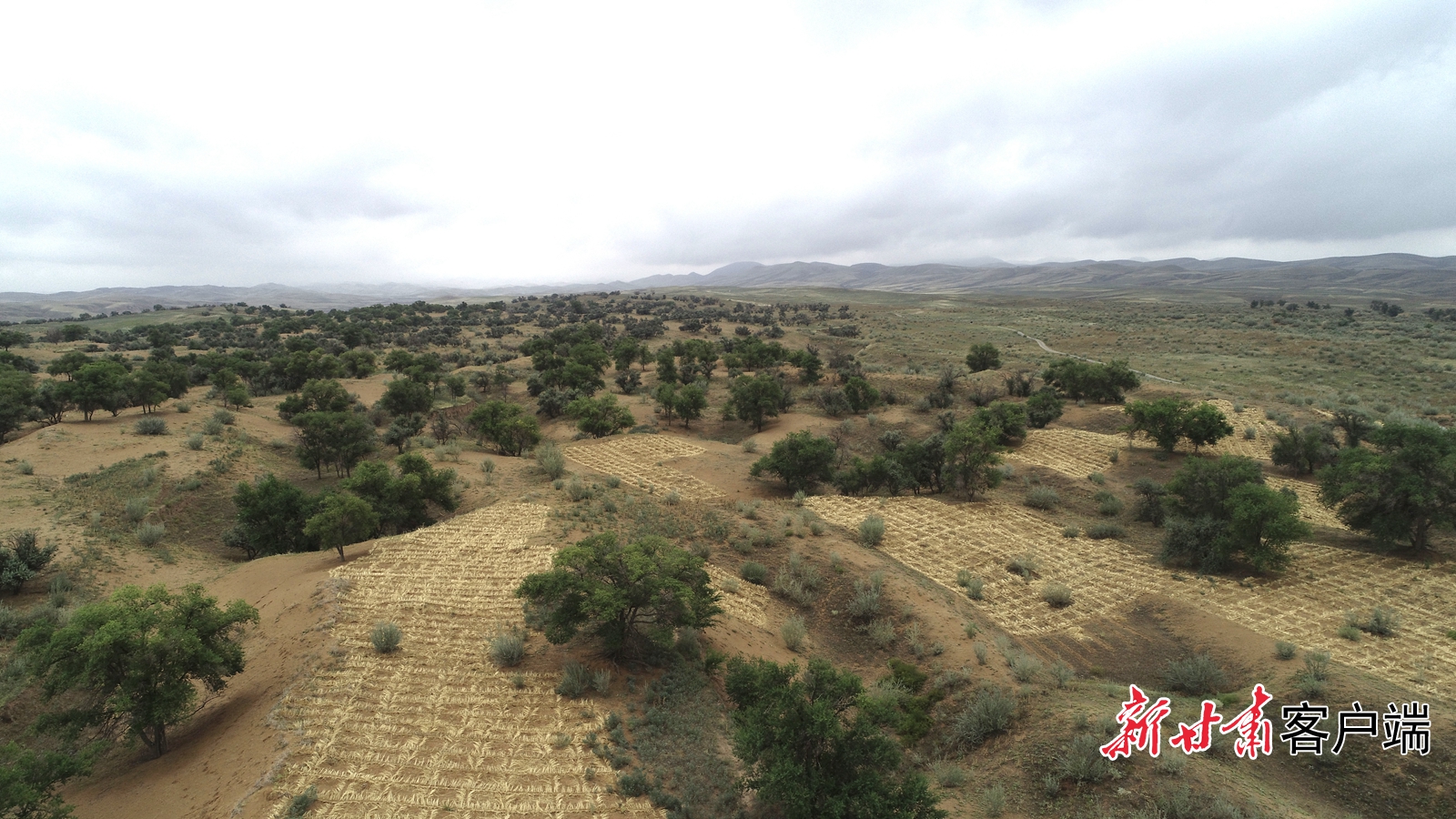 甘肃防沙治沙成效显著(八步沙资料照片)