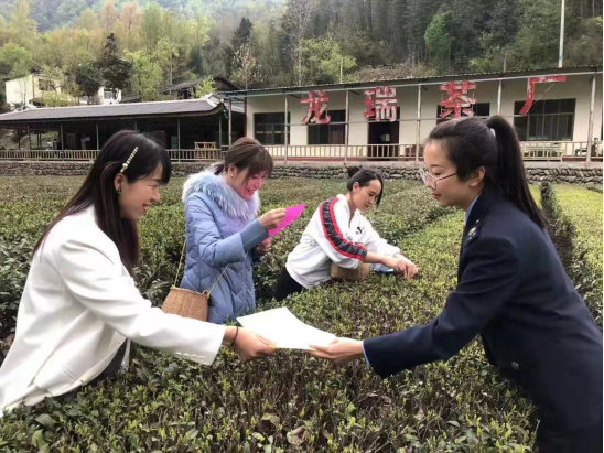 税务人员给茶农讲解税收政策