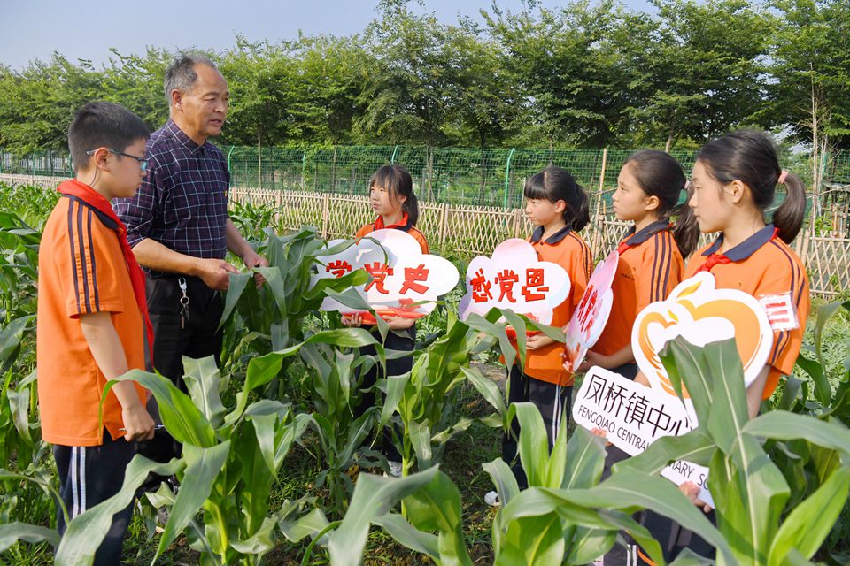 黨員教師們帶著孩子們來到了毗鄰學校的勞動實踐基地——