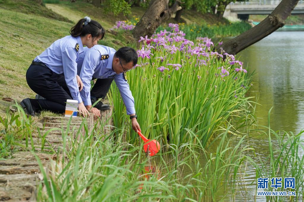 苏州市吴江区生态环境综合执法工作人员进行水质采样。（2021年5月7日摄） 新华社记者李博 摄