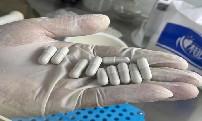 靶向缓释的肠道菌群胶囊