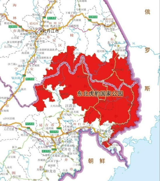 东北虎豹国家公园"两项试点"成效系列(六)铸就野生动物保护国际合作的