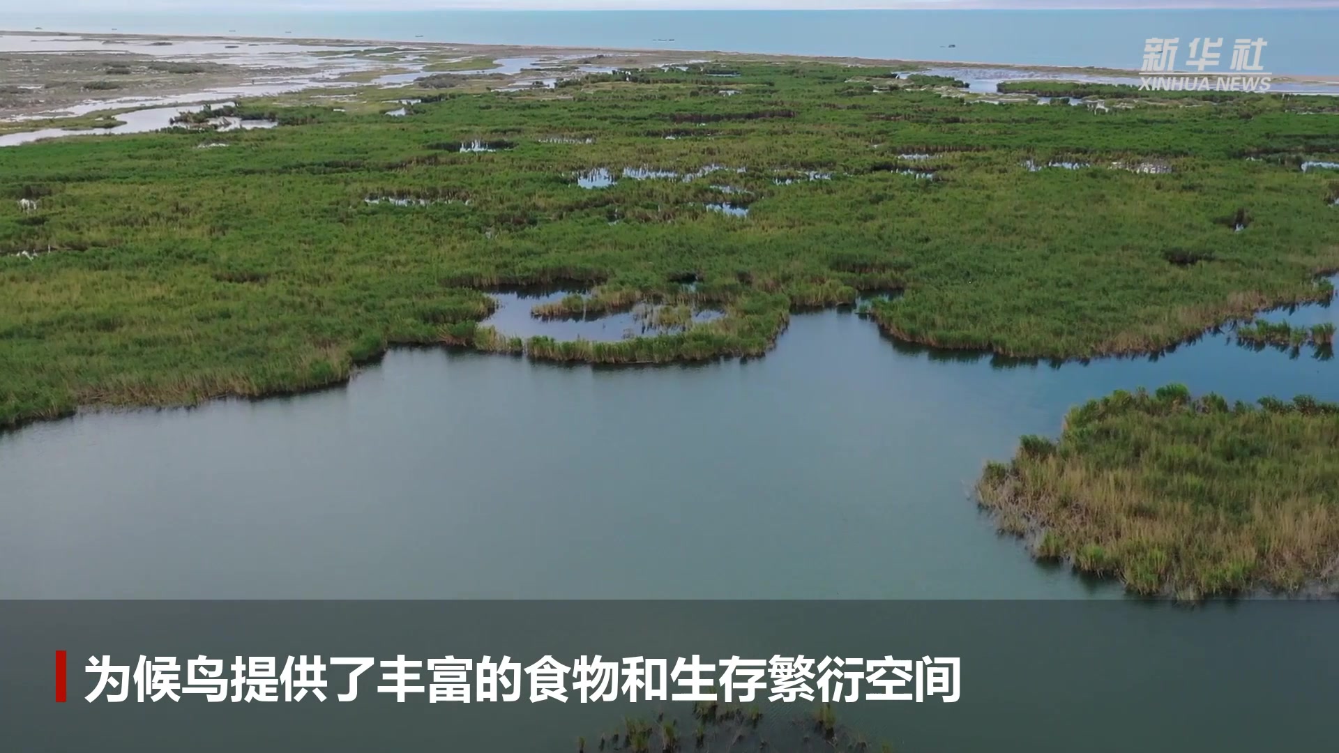 乌伦古湖夏日美景