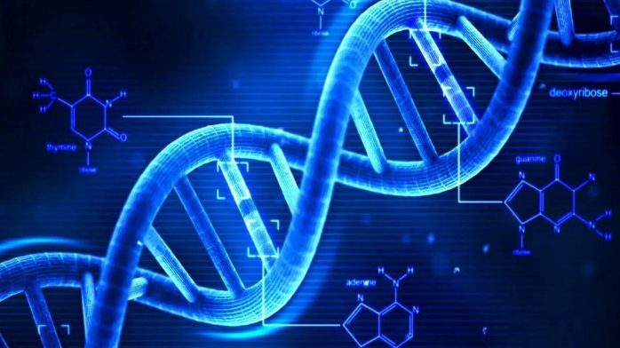 博物馆的皮张如何提取DNA?中国的高效方法获灰狼全基因组_凤凰网