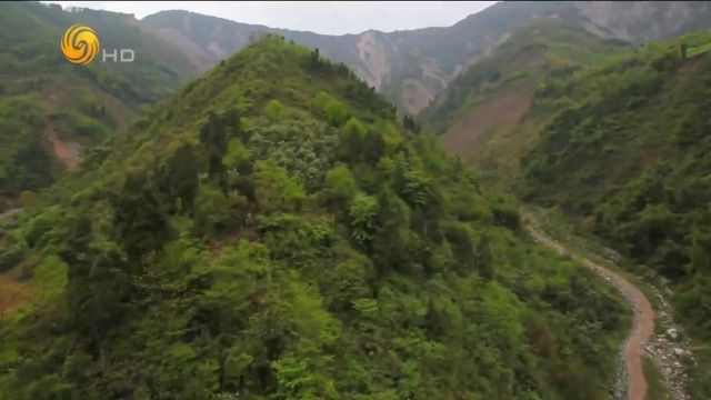 四川的紫土地给了人民生产的动力，一场地震却打破了这里的宁静