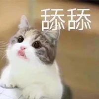 测评|豆柴猫粮：双拼风干系列。营养美味，超高性价比，全网打call