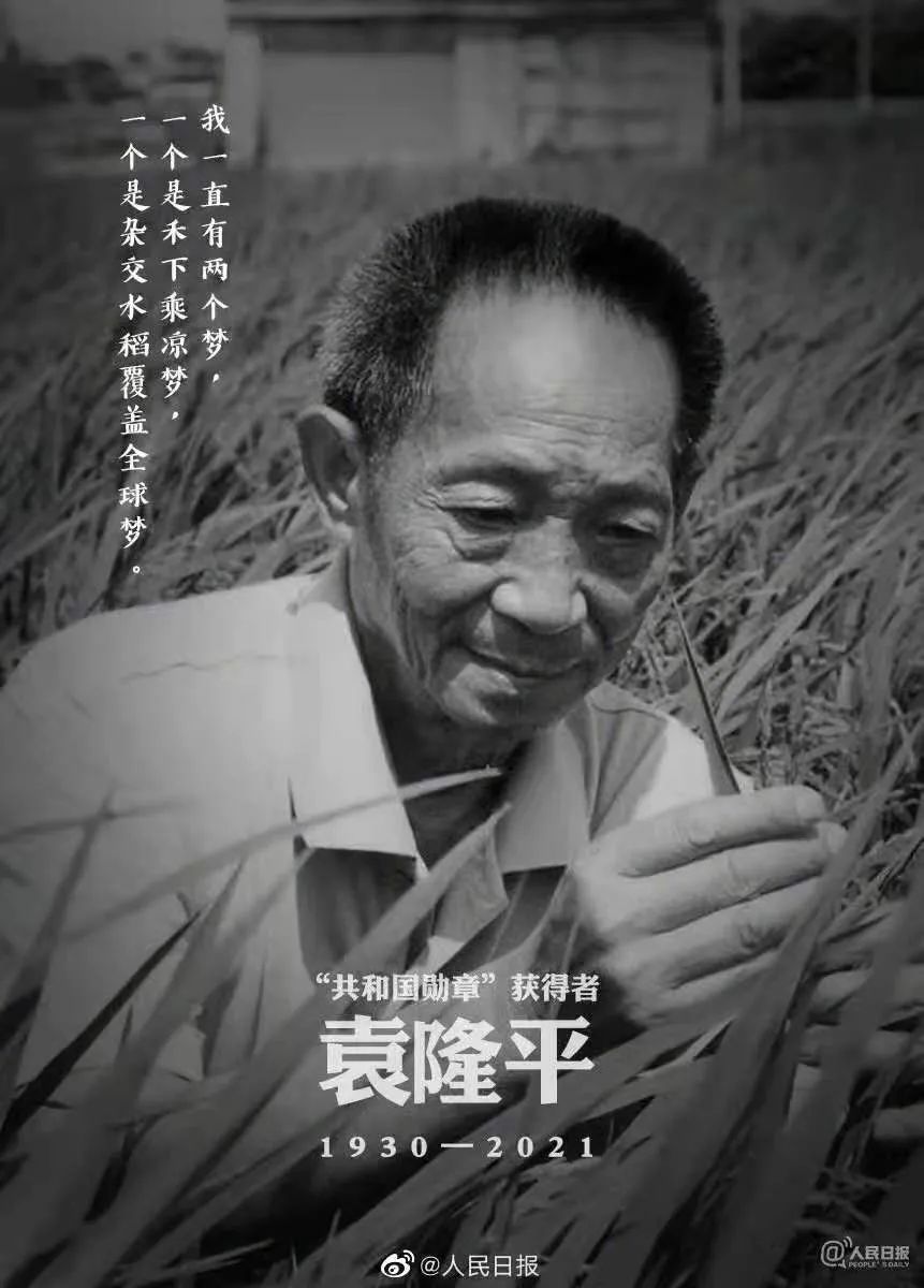 袁隆平属什么生肖