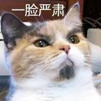 测评|豆柴猫粮：双拼风干系列。营养美味，超高性价比，全网打call