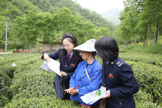 税务干部深入茶园宣传税收政策