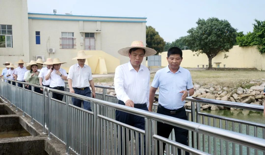 雷州市委書記張仁建率隊督導南渡河國考斷面水質達標工作__鳳凰網