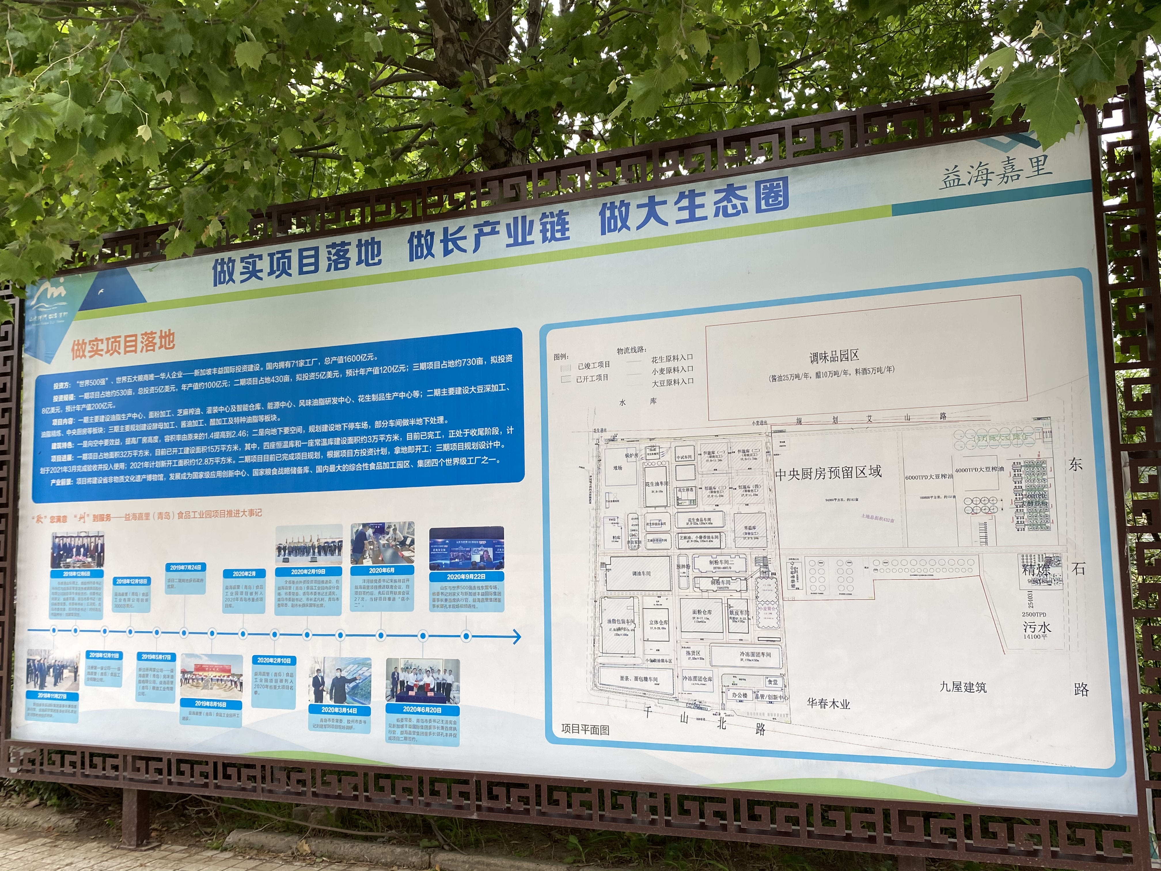 见证青岛|胶州洋河镇：构建全域旅游发展格局