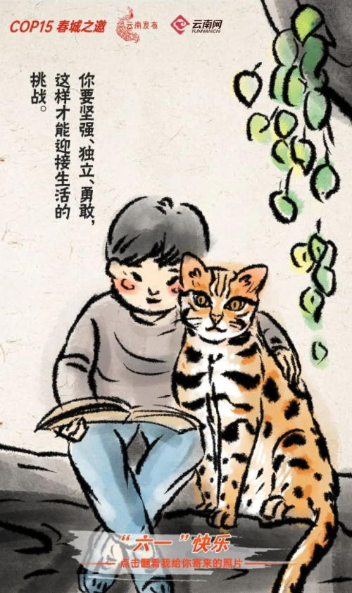 宝贝们，云南“萌宠”的祝福，请查收