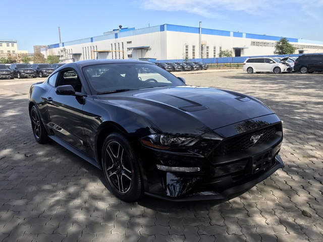 年加版野马黑101a包现车惊爆价 凤凰网汽车 凤凰网