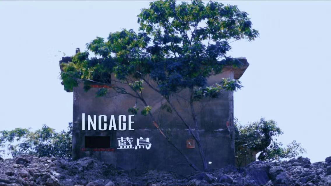 海口经济学院华都影视学院学生作品蓝鸟飞入上海国际电影节