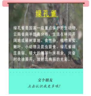 宝贝们，云南“萌宠”的祝福，请查收