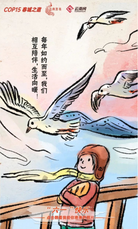 宝贝们，云南“萌宠”的祝福，请查收