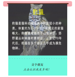 宝贝们，云南“萌宠”的祝福，请查收