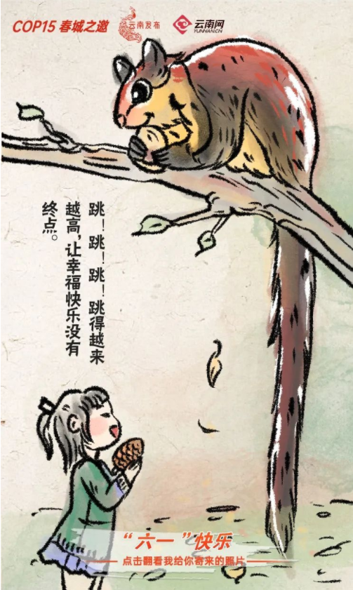 宝贝们，云南“萌宠”的祝福，请查收