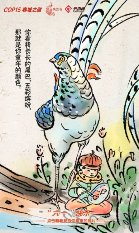 宝贝们，云南“萌宠”的祝福，请查收