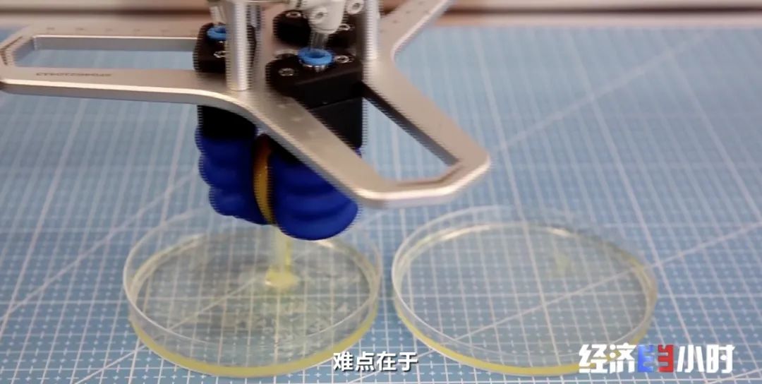 鲨鱼夹的使用视频 6F934F085F498180757AA53472296BEDA451496A_size68_w1080_h544.jpg