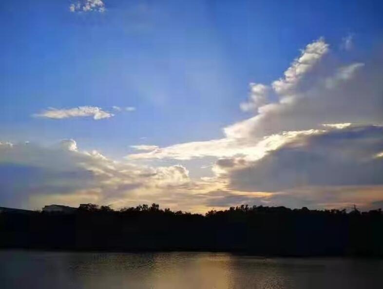 江西晨鸣:绿色造纸 扛起造纸企业的环保担当与作为